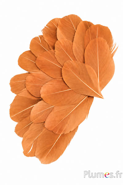 Verenblaadjes - 6-8 x 3-4 cm - cognac